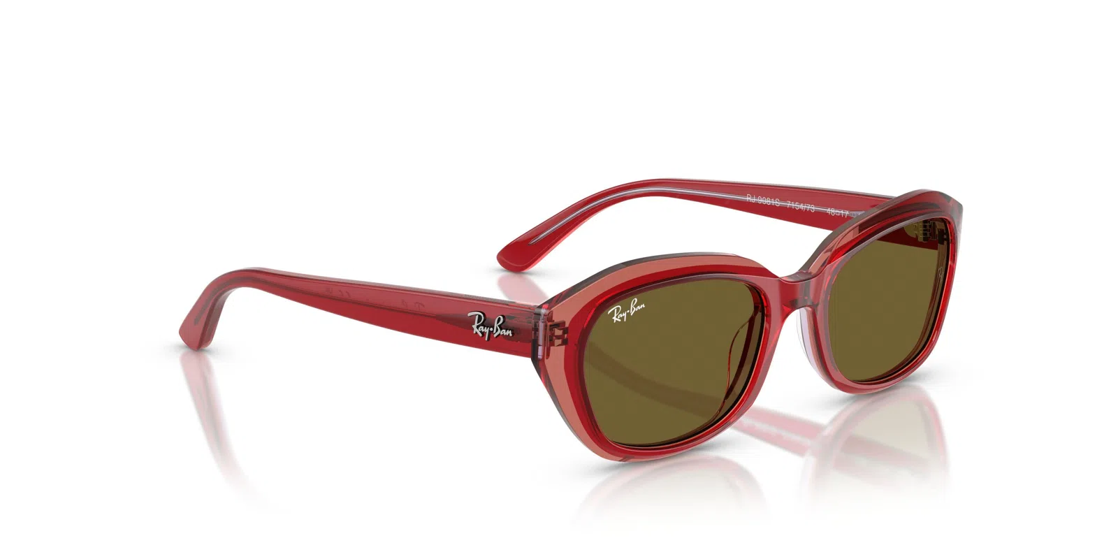 Ray-Ban Junior 9081S Sunglasses - view 48